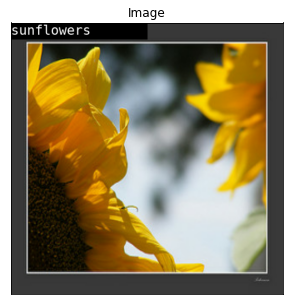 ../_images/notebooks_flowers-classifier_17_0.png