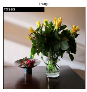 ../_images/notebooks_flowers-classifier_17_12.png