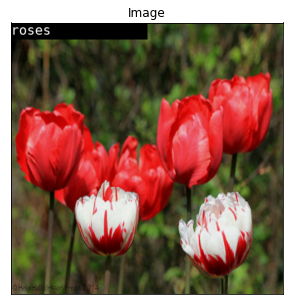 ../_images/notebooks_flowers-classifier_17_14.png