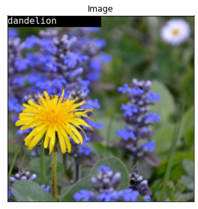 ../_images/notebooks_flowers-classifier_17_5.png