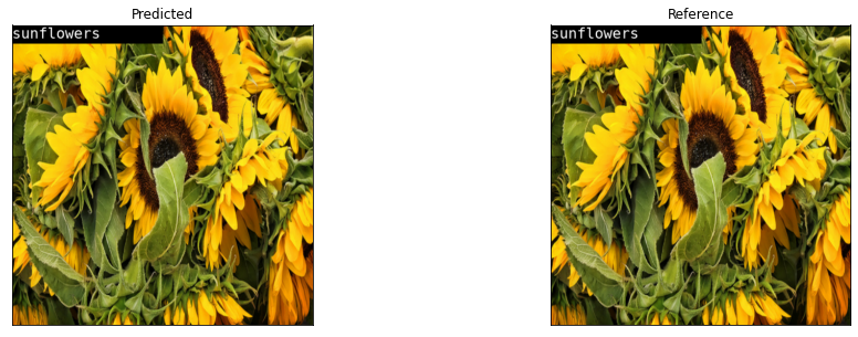 ../_images/notebooks_flowers-classifier_23_12.png