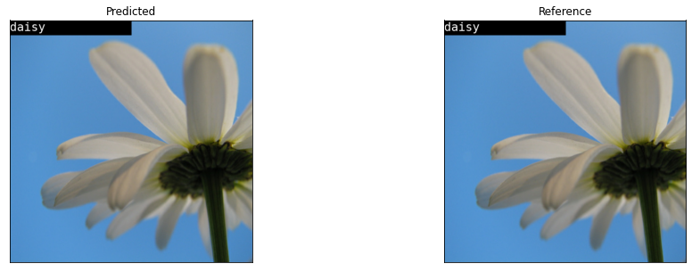../_images/notebooks_flowers-classifier_23_6.png